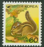 1994/ ���� �ٶ��� 60��