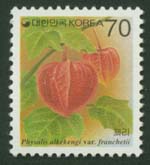 1995/ ���� �ʸ� 70��