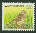 1996/ ���� ���ٸ� 300��