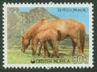 1998/ ���� ���ָ� 800��