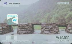 ���ӵ���ī��/ ��õ �� �����