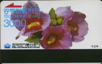 009B-0000xxxx-3-����ȭ-û�� �޸��ȣ