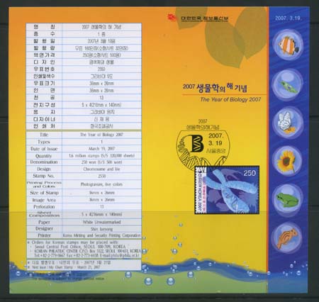 2007/ 2007 �������� �� �ȳ���