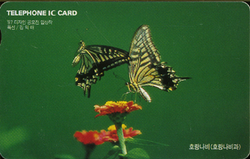 IO017-IO9807105-ȣ������-K