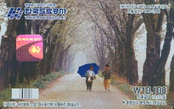 ���ӵ���ī��/ 벛�� �� 1������ �����