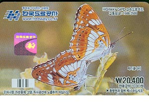 ���ӵ���ī��/ ������ ���� 2������