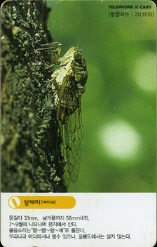 IO071-IO0207024-���Ź�(�Ź̰�)