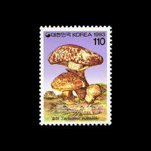 1993/ �����ø��� ��1�� 4��