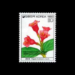 1993/ �߻�ȭ�ø��� ��4�� 4��