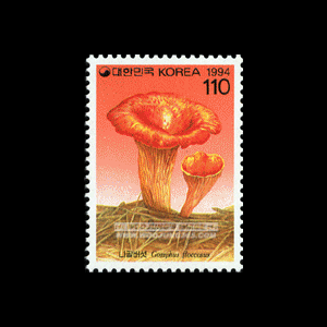 1994/ �����ø��� ��2�� 4��