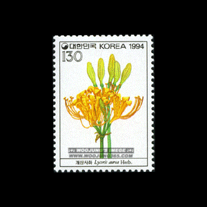 1994/ �߻�ȭ�ø��� ��5�� 5��