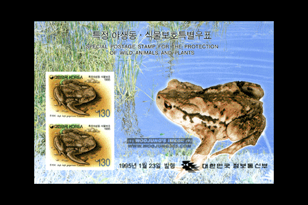 1995/ Ư�� �߻���.�Ĺ���ȣ Ư�� ��2�� 2�� S/S