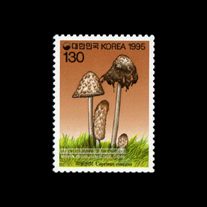 1995/ �����ø��� ��3�� 4��