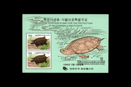 1996/ Ư�� �߻���.�Ĺ���ȣ Ư�� ��3�� 2�� S/S