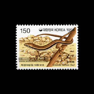 1996/ Ư�� �߻���.�Ĺ���ȣ Ư�� ��3�� 2��