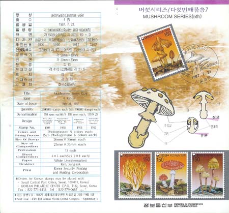 1997/ �����ø��� ��5�� �ȳ���