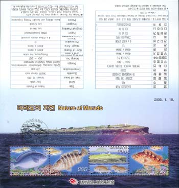 2005/ ������ �ڿ� �ȳ���