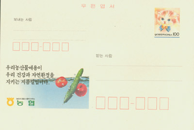 1995/�츮��깰 �ֿ�