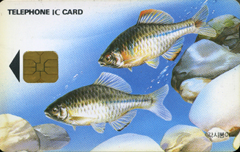 004-IO9504101-���úؾ�-W