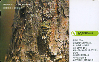 442-MO0207062-���иŹ�