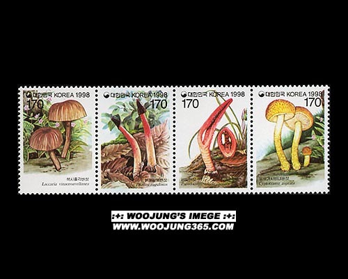 1998/ �����ø��� ��6�� 4������