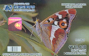 ���ӵ���ī��/ �������� ���� 1������