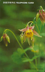 219-MO9801104-0W-�Ź����(VF-��ǰ)