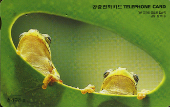 231-MO9804116-0K-û������ ��(VF-��ǰ)