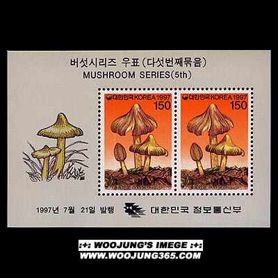 1997/ �����ø��� ��5�� 4�� S/S