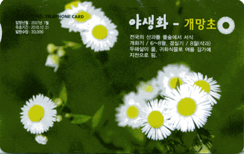 824-MO0707027-0-�߻�ȭ ������(VF-��ǰ)