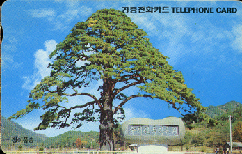 R020-09206208-3-����ǰ��(���)-�����-F-����