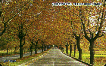 R058-09307216-3-û�� ���Է�(���)-(�����/F/����)