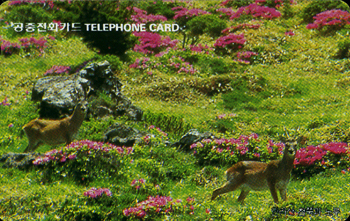 R181-O9602215-0-ö�߰����(����)-(�����/F/����)