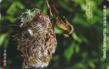 175-MO9701102-3K-����(�����/EF/�ع�ǰ)