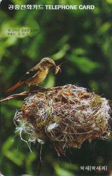 175-MO9701102-3ǥ��K-����(�����/EF/�ع�ǰ)