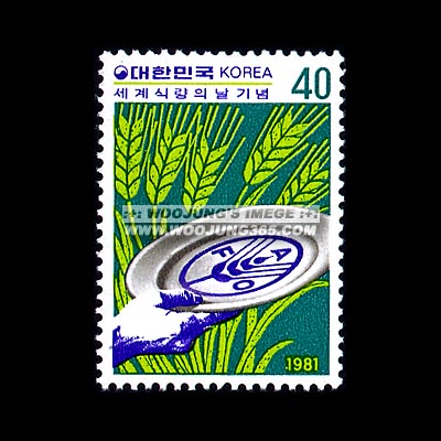 1981/ ���� �ķ��� ��