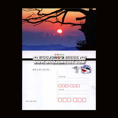 NPC151/220��/ 2009�� ���Ͽ���