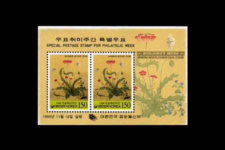 1996/ '96 ��ǥ����ְ� S/S