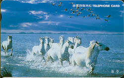 MC01D00137-2-��-����(�����-VF-��ǰ)