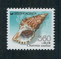 2011/ ���� ���Ȱ��� 360��