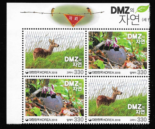 2018/ DMZ�� �ڿ� ��3�� 2������