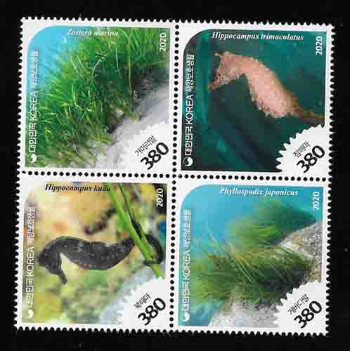 2020/ �ؾ纸ȣ���� ��3�� 4������