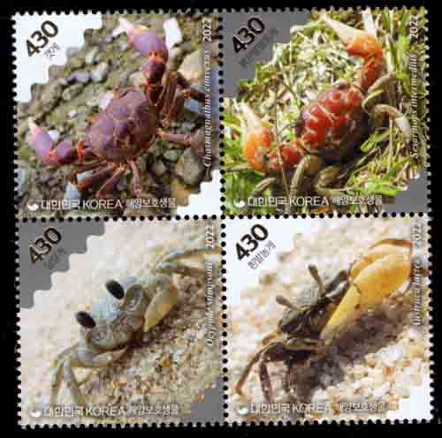 2022/4.20 �ؾ纸ȣ���� 4����Ʈ  VF