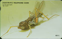 236-MO9806121-3K-�޶ѱ�(VF-��ǰ)