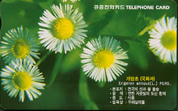 260-MO9901101-2J-������