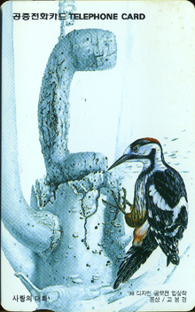 262-MO9901103-5K-����� ��ȭ(VF-��ǰ)