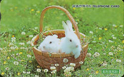 274-MO9904115-0K-�䳢(VF-��ǰ)