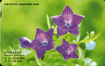 285-MO9907126-2W-��������(VF-��ǰ)