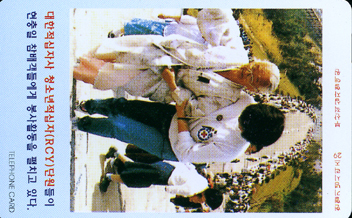 �λ�29-MCPF9801-2J-û�ҳ�������(RCY)�ܿ�