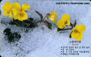 309-MO0001101-2KCWS-��������